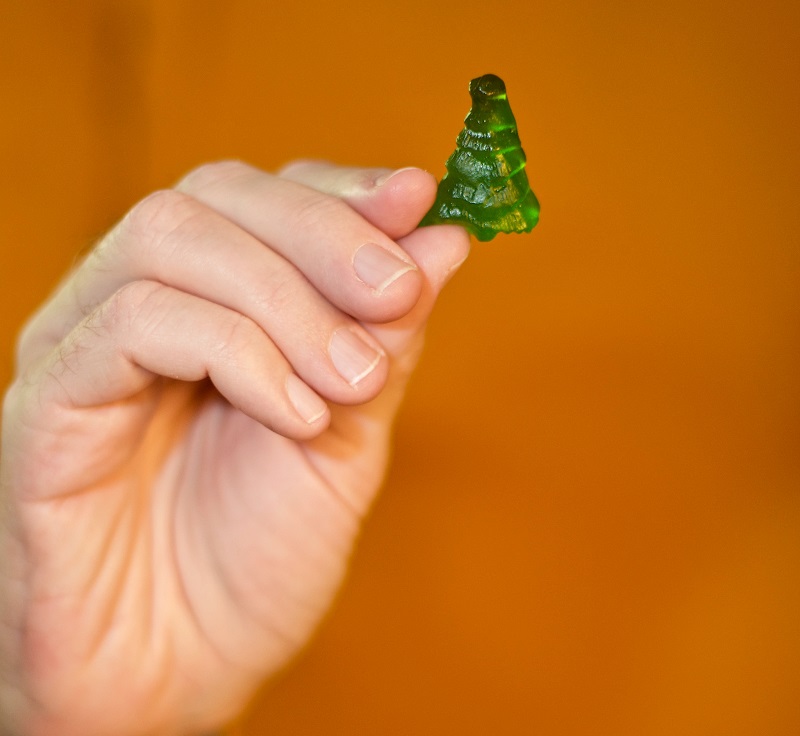 gummy tree