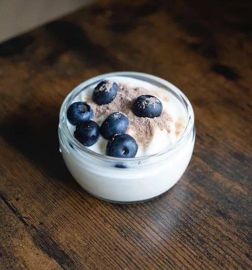 bowl of yogurt with blueberries